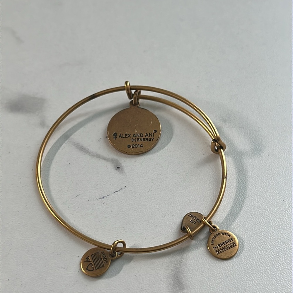 Pre owned Alex and Ani 2014 Charm Bangle Bracelet - Picture 13 of 13